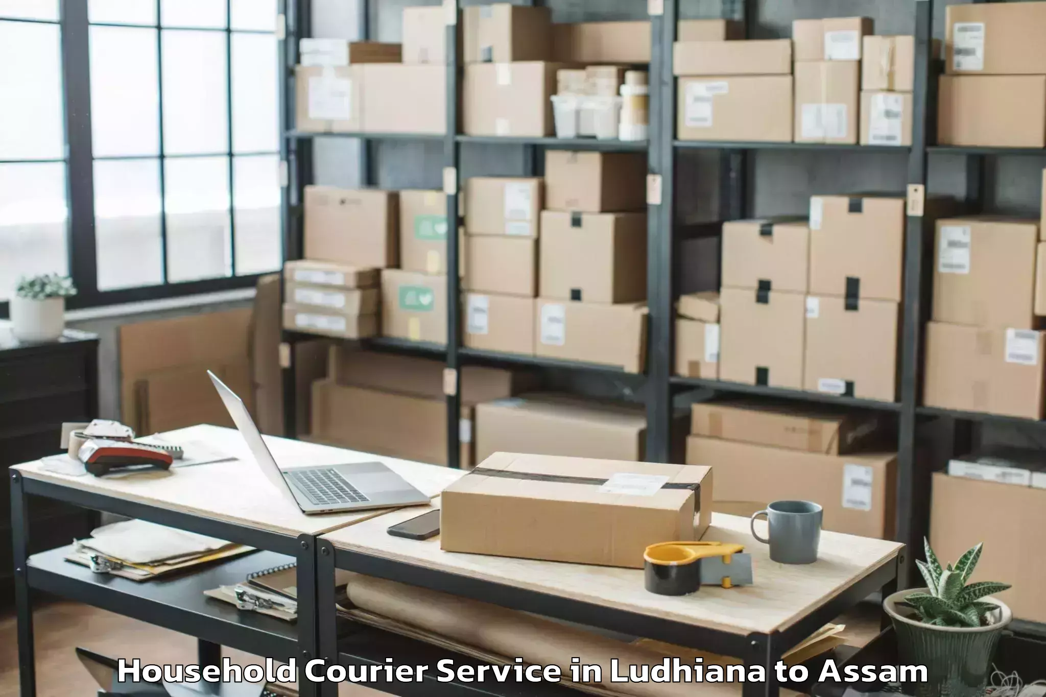 Quality Ludhiana to Nahorkatiya Household Courier